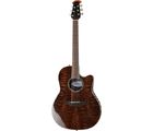 Ovation CS28P-TGE Celebrity Std Plus
