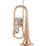 Cerveny CVFH 702R Flugelhorn