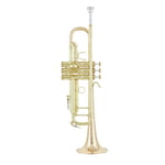Bach LT 180-43G ML Trumpet