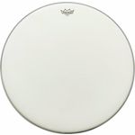 Remo 24" Ambassador Coated