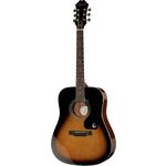 Epiphone DR-100 VSB