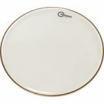 Aquarian 12" Response 2 Clear