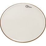 Aquarian 16" Response 2 Clear