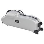 bam Case Baritone Hightech 3101XL
