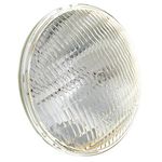 GE Lighting PAR56 300 Watts MFL