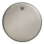 Remo 14" Renaissance Ambassador
