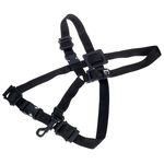 BG S42SH Strap Children