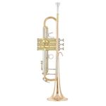 B&S 3137 G-L Challenger I GM