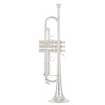 Yamaha YTR-6335 S