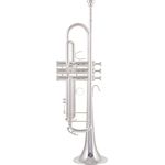 B&S 3137-S Challenger I S