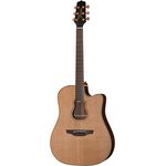 Takamine GB7C