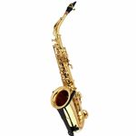 Selmer SE-A3L Goldlack SeriesIII Alto