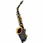 Selmer SE-A2B Black