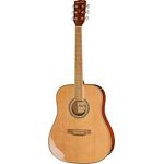 Harley Benton D-120NT