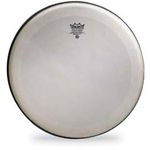 Remo 13" Renaissance Snare