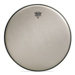 Remo 28" Renaissance Ambassador Bas