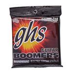 GHS GBZW LO Zakk Wylde