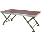 Millenium Stage Platform 2,0 x 1,0m ISC