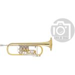 Cerveny CVTR 501RT Bb-Trumpet