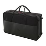 Selmer Double Case Alt a. Soprano III