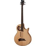 Warwick Alien 4