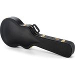 Ibanez AM-C