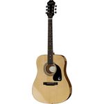 Epiphone DR-100 NT
