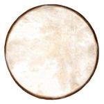 Studio 49 EF250 Drum Head for RT250