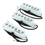 Kinman Blues Strat Set