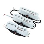 Kinman FV-HMS Hank Marvin Strat Set