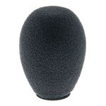 Schoeps B5 D