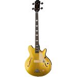 Epiphone Jack Casady MG