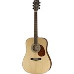 Cort Earth 100 NS
