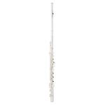 Muramatsu EX-III-RCE Flute