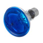 Omnilux R80 Lamp E27 Blue