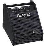 Roland PM-10 Drum Monitor System