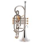 Besson BE2028-2 Prestige Bb-Cornet