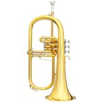 B&S 3146/2G-GL Brochon