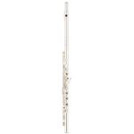 Altus 907 ER Transverse Flute