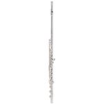 Altus 1007 ERB Transverse Flute