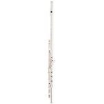 Altus 1107 ER Transverse Flute