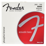 Fender 8060 Acoustic Bass