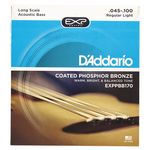 Daddario EXPPBB170
