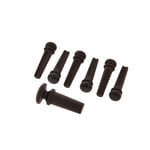 Planet Waves PWPS1