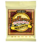 Ernie Ball 2002 Earthwood Bronze
