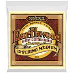 Ernie Ball 2012 Earthwood Bronze