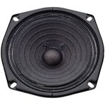 Roland Replacementspeaker Micro Cube