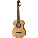 VGS Pro Arte GC 100 II
