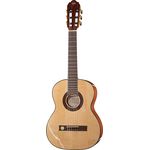VGS Pro Arte GC-50II