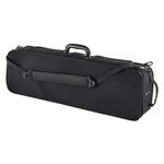 Jakob Winter JW 3023 N SB Violin Wood Case